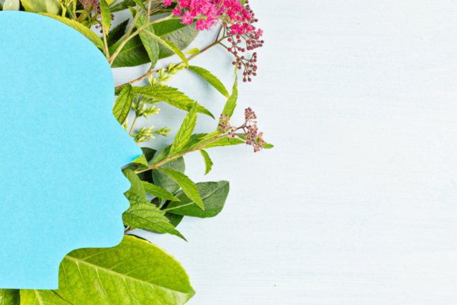 A blue outline of a person's face on a background of flowers