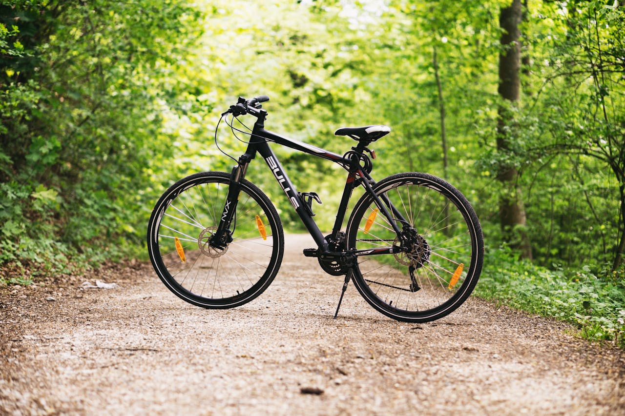 Bike A black bikes stands in the middle of a tree tunnel